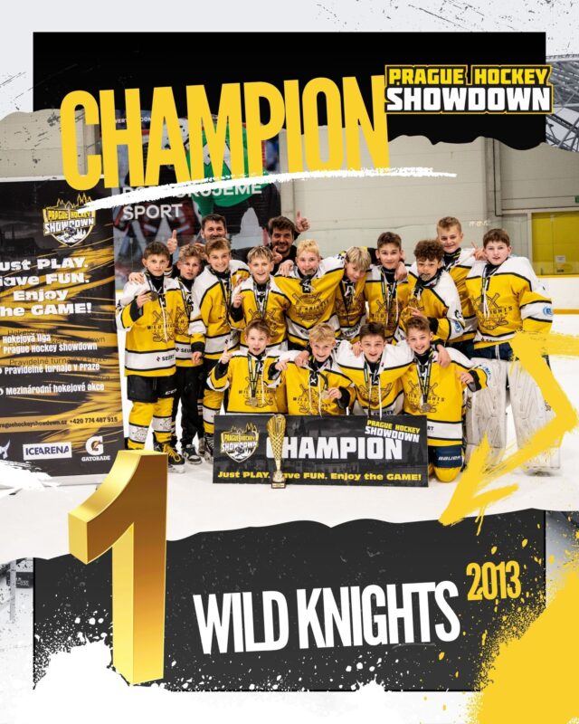Champion 2013 – Wild Knights